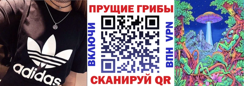 Псилоцибиновые грибы Psilocybe  Межгорье 